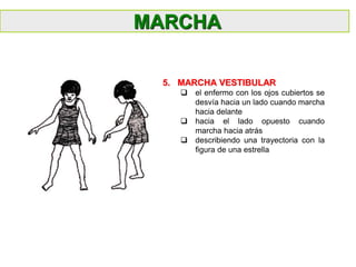 MARCHA
5. MARCHA VESTIBULAR
 el enfermo con los ojos cubiertos se
desvía hacia un lado cuando marcha
hacia delante
 hacia el lado opuesto cuando
marcha hacia atrás
 describiendo una trayectoria con la
figura de una estrella
 