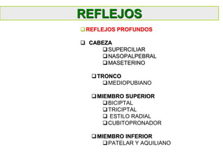 REFLEJOS PROFUNDOS
 CABEZA
SUPERCILIAR
NASOPALPEBRAL
MASETERINO
TRONCO
MEDIOPUBIANO
MIEMBRO SUPERIOR
BICIPTAL
TRICIPTAL
 ESTILO RADIAL
CUBITOPRONADOR
MIEMBRO INFERIOR
PATELAR Y AQUILIANO
REFLEJOS
 