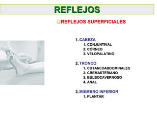 1. CABEZA
1. CONJUNTIVAL
2. CÓRNEO
3. VELOPALATINO
2. TRONCO
1. CUTANEOABDOMINALES
2. CREMASTERIANO
3. BULBOCAVERNOSO
4. ANAL
3. MIEMBRO INFERIOR
1. PLANTAR
REFLEJOS
REFLEJOS SUPERFICIALES
 