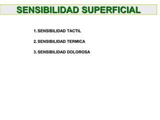 1. SENSIBILIDAD TACTIL
2. SENSIBILIDAD TERMICA
3. SENSIBILIDAD DOLOROSA
SENSIBILIDAD SUPERFICIAL
 