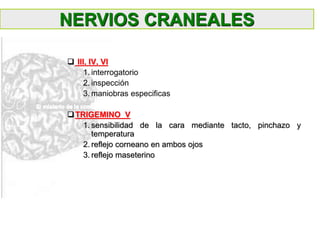  III, IV, VI
1. interrogatorio
2. inspección
3. maniobras especificas
TRIGEMINO V
1. sensibilidad de la cara mediante tacto, pinchazo y
temperatura
2. reflejo corneano en ambos ojos
3. reflejo maseterino
NERVIOS CRANEALES
 