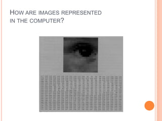 HOW ARE IMAGES REPRESENTED
IN THE COMPUTER?
 