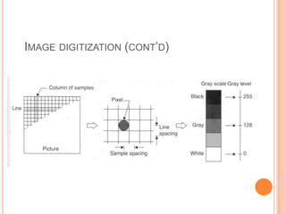 IMAGE DIGITIZATION (CONT’D)
 