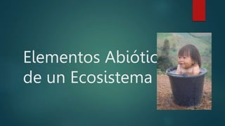 Elementos Abióticos
de un Ecosistema
 