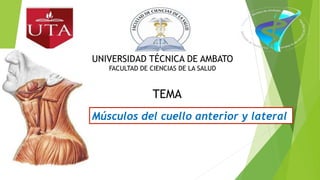 UNIVERSIDAD TÉCNICA DE AMBATO
FACULTAD DE CIENCIAS DE LA SALUD
ANATOMÍA:
Músculos del cuello anterior y lateral
TEMA
 