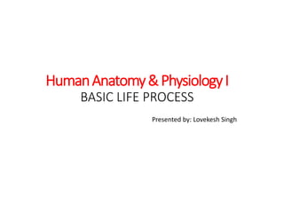 HumanAnatomy&PhysiologyI
BASIC LIFE PROCESS
Presented by: Lovekesh Singh
 