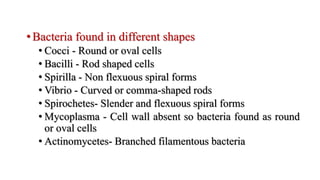 • Bacteria found in different shapes
• Cocci - Round or oval cells
• Bacilli - Rod shaped cells
• Spirilla - Non flexuous spiral forms
• Vibrio - Curved or comma-shaped rods
• Spirochetes- Slender and flexuous spiral forms
• Mycoplasma - Cell wall absent so bacteria found as round
or oval cells
• Actinomycetes- Branched filamentous bacteria
 