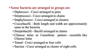 • Some bacteria are arranged in groups are
• Diplococci - Cocci arranged in pairs
• Streptococci - Cocci arranged in chains
• Staphylococci - Cocci arranged in clusters
• Coccobacilli - Both length and width are approximately
same in the bacteria
• Streptobacilli - Bacilli arranged in chains
• Chinese letter or Cuneiform pattern - resemble like
Chinese letter
• Tetrad - Cocci arranged as four cells
• Sarcina - Cocci arranged as cluster of eight cells
 