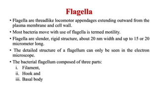 Flagella
• Flagella are threadlike locomotor appendages extending outward from the
plasma membrane and cell wall.
• Most bacteria move with use of flagella is termed motility.
• Flagella are slender, rigid structure, about 20 nm width and up to 15 or 20
micrometer long.
• The detailed structure of a flagellum can only be seen in the electron
microscope.
• The bacterial flagellum composed of three parts:
i. Filament,
ii. Hook and
iii. Basal body
 