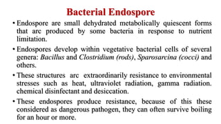 Bacterial Endospore
• Endospore are small dehydrated metabolically quiescent forms
that arc produced by some bacteria in response to nutrient
limitation.
• Endospores develop within vegetative bacterial cells of several
genera: Bacillus and Clostridium (rods), Sparosarcina (cocci) and
others.
• These structures arc extraordinarily resistance to environmental
stresses such as heat, ultraviolet radiation, gamma radiation.
chemical disinfectant and desiccation.
• These endospores produce resistance, because of this these
considered as dangerous pathogen, they can often survive boiling
for an hour or more.
 