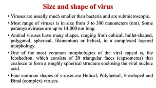 Size and shape of virus
• Viruses are usually much smaller than bacteria and are submicroscopic.
• Most range of viruses is in size from 5 to 300 nanometers (nm). Some
paramyxoviruses are up to 14,000 nm long.
• Animal viruses have many shapes, ranging from cubical, bullet-shaped,
polygonal, spherical, filamentous or helical, to a complexed layered
morphology.
• One of the most common morphologies of the viral capsid is, the
Icoshedron. which consists of 20 triangular faces (capsomeres) that
coalesce to form a roughly spherical structure enclosing the viral nucleic
acid.
• Four common shapes of viruses are Helical, Polyhedral, Enveloped and
Binal (complex) viruses.
 