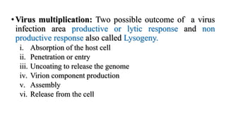 •Virus multiplication: Two possible outcome of a virus
infection area productive or lytic response and non
productive response also called Lysogeny.
i. Absorption of the host cell
ii. Penetration or entry
iii. Uncoating to release the genome
iv. Virion component production
v. Assembly
vi. Release from the cell
 