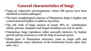 General characteristics of fungi
• Fungi arc eukaryotic microorganisms. About 200 species have been
identified as human pathogens.
• The basic morphological structure of filamentous fungi is hyphae and
a interconnected hyphae is called as mycelium.
• The cell walls of fungi consists of nearly 90% of carbohydrate
(chitin, glucans, mannans) and fungal membrane are rich in sterols.
• Filamentous fungi reproduces either asexually (mitosis), by hyphae
growth and tip extension or with the help of asexual spores.
• Molds grow in filamentous structures, yeast as single cells and
dermatophytes cause infections of the keratinized tissues (skin, hair,
nails, etc.).
 