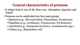 General characteristics of protozoa
• It obtain food in one of the three way: Absorption, Ingestion and
Engulf
• Protozoa can be subdivided into four main groups:
• Sporozoa (e.g., Microsporidium, Plasmodium, Toxoplasma)
• Flagellates (e.g., Leishmania, Trypanosoma, Trichomonas)
• Amoeboid (e.g., Entamoeba histolytica, Acanthamoeba spp.)
• Ciliates (e.g., Balantidium coli)
 