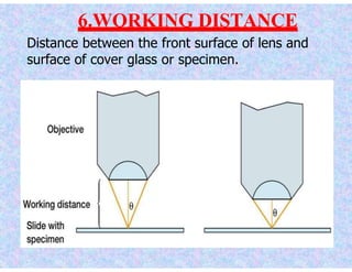 Working Distance In Microscope 2. Microscopy (Biochemistry) | PPTX