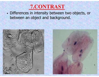 2. Microscopy (Biochemistry) | PPTX