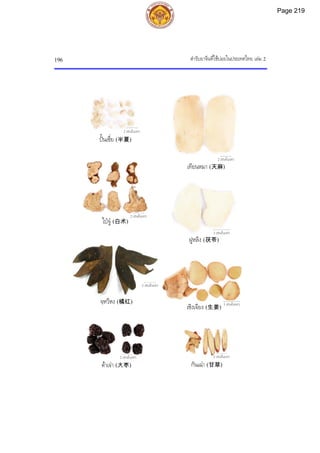 ตํารับยาจีนที่ใชบอยในประเทศไทย เลม 2
196
3 เซนติเมตร
2 เซนติเมตร
2 เซนติเมตร
2 เซนติเมตร
3 เซนติเมตร
2 เซนติเมตร
3 เซนติเมตร
2 เซนติเมตร
ปนเซี่ย (半夏)
เทียนหมา (天麻)
ฝูหลิง (茯苓)
จฺหวีหง (橘红)
ไปจู (白术)
กันเฉา (甘草)
เซิงเจียง (生姜)
ตาเจา (大枣)
Page 219
 