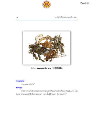 ตํารับยาจีนที่ใชบอยในประเทศไทย เลม 2
220
การออกฤทธิ์
กระจายลม ระงับปวด1,3
สรรพคุณ
บรรเทาอาการไขหวัดจากลมภายนอกกระทบ ปวดศีรษะสวนหนา หรือปวดศีรษะขางเดียว หรือ
ปวดกลางกระหมอม มีไขกลัวหนาว คัดจมูก ตาลาย ลิ้นมีฝาบางขาว ชีพจรลอย ลื่น1,3
ตํารับยา ชวนซฺยงฉาเถียวสาน (川芎茶调散)
Page 243
 