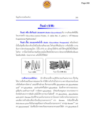 ขอมูลวิทยาศาสตรของตัวยา 243
กันเฉา (甘草)
กันเฉา หรือ เซิงกันเฉา [ชะเอมเทศ (Radix Glycyrrhizae)] คือ รากแหงของพืชที่มีชื่อ
วิทยาศาสตรวา Glycyrrhiza uralensis Fischer., G. inflata Bat., G. glabra L. วงศ Fabaceae
(Leguminosae-Papilionoidae)1
กันเฉา (จื้อ) [ชะเอมเทศผัดน้ําผึ้ง (Radix Glycyrrhizae Praeparata)] เตรียมโดยนํา
น้ําผึ้งบริสุทธิ์มาเจือจางดวยน้ําตมในปริมาณที่เหมาะสม ใสกันเฉาที่หั่นเปนแวน ๆ หรือเปนชิ้น ๆ ตาม
ตองการ อัตราสวนของสมุนไพร : น้ําผึ้ง เทากับ 4:1 แลวคลุกใหเขากัน หมักไวสักครูเพื่อใหน้ําผึ้งซึมเขา
ในตัวยา จากนั้นนําไปผัดในภาชนะที่เหมาะสมโดยใชระดับไฟปานกลาง ผัดจนกระทั่งมีสีเหลืองเขมและ
ไมเหนียวติดมือ นําออกจากเตา แลวตั้งทิ้งไวใหเย็น2
การศึกษาทางเภสัชวิทยา: มีการศึกษาฤทธิ์ทางเภสัชวิทยาของกันเฉามากมาย ที่สําคัญ
ไดแก ฤทธิ์คลายฮอรโมนจากตอมหมวกไต ทําใหมีการเก็บกักน้ําในรางกาย ลดการขับออกของน้ําและ
เกลือโซเดียมทางปสสาวะ3
และฤทธิ์ตานอักเสบ ซึ่งสารออกฤทธิ์คือ glycyrrhizin และ glycyrrhetinic
acid4-6
สาร glycyrrhizin และสวนสกัดที่ไมมีสาร glycyrrhizin มีฤทธิ์กดการทํางานของระบบ-
ภูมิคุมกัน และตานอาการแพ3
การฉีดสาร glycyrrhizin เขาชองทองหนูตะเภา สามารถลดอาการ
ผิวหนังอักเสบจากการสัมผัส แตเมื่อใหทางปากพบวาไมมีฤทธิ์7
สาร glycyrrhizin, glycyrrhetinic
acid และสาร flavones มีฤทธิ์รักษาแผลในกระเพาะอาหารโดยลดการหลั่งกรดในกระเพาะอาหาร
และเพิ่มการสรางเมือกเพื่อปกปองเยื่อบุกระเพาะอาหาร3,7
สาร flavones ยังมีฤทธิ์ตานเชื้อ
Helicobacter pylori ซึ่งเปนสาเหตุหนึ่งของการเกิดแผลในกระเพาะอาหาร5
สารกลุม flavones3,4,7
และ
สาร glycycoumarin8
มีฤทธิ์ยับยั้งการหดเกร็งของกระเพาะอาหารและลําไสเล็ก สาร glycyrrhizin มี
กันเฉา (จื้อ) [甘草 (炙)]
2 เซนติเมตร
กันเฉา (甘草)
2 เซนติเมตร
Page 266
 