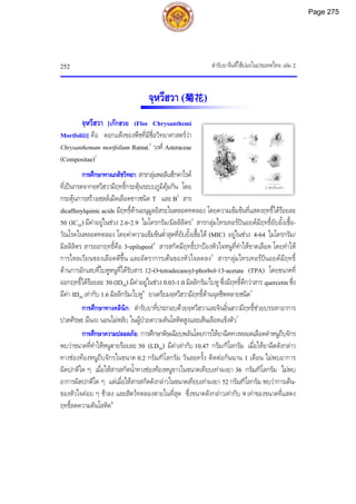 ตํารับยาจีนที่ใชบอยในประเทศไทย เลม 2
252
2 เซนติเมตร
จฺหวีฮวา (菊花)
จฺหวีฮวา [เกกฮวย (Flos Chrysanthemi
Morifolii)] คือ ดอกแหงของพืชที่มีชื่อวิทยาศาสตรวา
Chrysanthemum morifolium Ramat.1
วงศ Asteraceae
(Compositae)1
การศึกษาทางเภสัชวิทยา: สารกลุมพอลิแซ็กคาไรด
ที่เปนกรดจากจฺหวีฮวามีฤทธิ์กระตุนระบบภูมิคุมกัน โดย
กระตุนการสรางเซลลเม็ดเลือดขาวชนิด T และ B2
สาร
dicaffeoylquinic acids มีฤทธิ์ตานอนุมูลอิสระในหลอดทดลอง โดยความเขมขนที่แสดงฤทธิ์ไดรอยละ
50 (IC50) มีคาอยูในชวง 2.6-2.9 ไมโครกรัม/มิลลิลิตร3
สารกลุมไทรเทอรปนอยดมีฤทธิ์ยับยั้งเชื้อ-
วัณโรคในหลอดทดลอง โดยคาความเขมขนต่ําสุดที่ยับยั้งเชื้อได (MIC) อยูในชวง 4-64 ไมโครกรัม/
มิลลิลิตร สารออกฤทธิ์คือ 3-epilupeol4
สารสกัดมีฤทธิ์ปกปองหัวใจหนูที่ทําใหขาดเลือด โดยทําให
การไหลเวียนของเลือดดีขึ้น และอัตราการเตนของหัวใจลดลง5
สารกลุมไทรเทอรปนอยดมีฤทธิ์
ตานการอักเสบที่ใบหูหนูที่ไดรับสาร 12-O-tetradecanoyl-phorbol-13-acetate (TPA) โดยขนาดที่
ออกฤทธิ์ไดรอยละ 50 (ID50) มีคาอยูในชวง 0.03-1.0 มิลลิกรัม/ใบหู ซึ่งมีฤทธิ์ดีกวาสาร quercetin ซึ่ง
มีคา ID50 เทากับ 1.6 มิลลิกรัม/ใบหู6
ยาเตรียมจฺหวีฮวามีฤทธิ์ตานจุลชีพหลายชนิด7
การศึกษาทางคลินิก: ตํารับยาที่ประกอบดวยจฺหวีฮวาและจินอิ๋นฮวามีฤทธิ์ชวยบรรเทาอาการ
ปวดศีรษะ มึนงง นอนไมหลับ ในผูปวยความดันโลหิตสูงและเสนเลือดแข็งตัว7
การศึกษาความปลอดภัย: การศึกษาพิษเฉียบพลันโดยการใหยาฉีดทางหลอดเลือดดําหนูถีบจักร
พบวาขนาดที่ทําใหหนูตายรอยละ 50 (LD50) มีคาเทากับ 10.47 กรัม/กิโลกรัม เมื่อใหยาฉีดดังกลาว
ทางชองทองหนูถีบจักรในขนาด 0.2 กรัม/กิโลกรัม วันละครั้ง ติดตอกันนาน 1 เดือน ไมพบอาการ
ผิดปกติใด ๆ เมื่อใหสารสกัดน้ําทางชองทองหนูขาวในขนาดเทียบเทาผงยา 36 กรัม/กิโลกรัม ไมพบ
อาการผิดปกติใด ๆ แตเมื่อใหสารสกัดดังกลาวในขนาดเทียบเทาผงยา 52 กรัม/กิโลกรัม พบวาการเตน-
ของหัวใจคอย ๆ ชาลง และสัตวทดลองตายในที่สุด ซึ่งขนาดดังกลาวเทากับ 9 เทาของขนาดที่แสดง
ฤทธิ์ลดความดันโลหิต8
Page 275
 