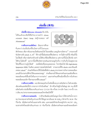 ตํารับยาจีนที่ใชบอยในประเทศไทย เลม 2
270
2 เซนติเมตร
เจอเซี่ย (泽泻)
เจอเซี่ย (Rhizoma Alismatis) คือ ลําตน
ใตดินแหงของพืชที่มีชื่อวิทยาศาสตรวา Alisma
orientalis (Sam.) Juzep. (หญากองลอย) วงศ
Alismataceae1
การศึกษาทางเภสัชวิทยา: มีหลายการศึกษา
ที่แสดงวาเจอเซี่ยมีฤทธิ์ขับปสสาวะทั้งในคนและ
สัตวทดลอง เพิ่มการขับออกของโซเดียมคลอไรด โพแทสเซียม และยูเรียทางปสสาวะ2-4
สารออกฤทธิ์
ขับปสสาวะคือ alisols A, B4,5
วิธีการเผาจื้อมีผลตอฤทธิ์ขับปสสาวะ หากไมมีการเผาจื้อ หรือเผาจื้อ
โดยใชเหลา หรือการผัดกับรําขาวสาลี จะไดตัวยาที่มีฤทธิ์ขับปสสาวะ แตหากเผาจื้อโดยใชเกลือ จะทํา
ใหตัวยาไมมีฤทธิ์2
นอกจากนี้ฤทธิ์ขับปสสาวะจะผันแปรตามฤดูเก็บเกี่ยว การเก็บเกี่ยวในฤดูหนาวจะ
ใหฤทธิ์ที่แรงกวาฤดูใบไมผลิ2
เจอเซี่ยมีฤทธิ์ลดคอเลสเตอรอล ไทรกลีเซอไรด เพิ่ม high-density
lipoprotein (HDL) ในเลือด และลดการสะสมไขมันในตับ2
สารออกฤทธิ์คือ alisols และเกลือแอซี-
เทตของ alisols2,5
สวนสกัดที่ละลายไดในไขมันซึ่งมีสาร alisols สามารถลดการเกิดภาวะหลอดเลือด-
แดงแข็งในกระตายที่ชักนําใหคอเลสเตอรอลสูง2
สวนที่ละลายน้ําไดของสารสกัดเอทานอลมีฤทธิ์ขยาย
หลอดเลือดแดงที่เลี้ยงหัวใจที่แยกจากกายกระตาย2
และสารสกัดแอซีโทนมีฤทธิ์ยับยั้งการบีบตัวของ
หลอดเลือดเอออรตา ซึ่งสารออกฤทธิ์คือ alismol2-5
การศึกษาทางคลินิก: ผงยามีสรรพคุณรักษาโรคติดเชื้อระบบทางเดินปสสาวะ ไตอักเสบชนิด-
เฉียบพลันและชนิดเรื้อรัง บรรเทาอาการวิงเวียนศีรษะ3
มีการศึกษาในผูปวยไขมันสูง 281 คน เมื่อใช
ผลิตภัณฑยาเจอเซี่ยที่มีขนาดเทียบเทาผงยา 2.5-2.8 กรัม ครั้งละ 3-4 เม็ด วันละ 3-4 ครั้ง นาน
3 เดือน พบวาสามารถลดคอเลสเตอรอลและไทรกลีเซอไรดได2
การศึกษาความปลอดภัย: การศึกษาพิษเฉียบพลันในหนูขาวโดยการใหสารสกัดน้ําทางปาก
พบวาขนาดของสารสกัดเทียบเทาผงยาที่ทําใหหนูขาวตายรอยละ 50 (LD50) มีคาเทากับ 36.36 กรัม/
กิโลกรัม เมื่อฉีดสารสกัดน้ําและสารสกัด 50% แอลกอฮอลเขาชองทองหนูถีบจักร พบวาคา LD50
ของสารสกัดทั้งสองมีคาเทียบเทาผงยา 15 กรัม/กิโลกรัม เมื่อฉีดสารสกัดเมทานอลเขาหลอดเลือดดํา
Page 293
 