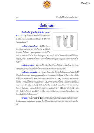 ตํารับยาจีนที่ใชบอยในประเทศไทย เลม 2
272
เจี๋ยเกิง (桔梗)
เจี๋ยเกิง หรือ ขูเจี๋ยเกิง (苦桔梗) (Radix
Platycodonis) คือ รากแหงของพืชที่มีชื่อวิทยาศาสตร
วา Platycodon grandiflorum (Jacq.) A. DC. วงศ
Campanulaceae1,2
การศึกษาทางเภสัชวิทยา: เมื่อใหยาตมทาง
ปากสุนัขและแมวในขนาด 1 กรัม/กิโลกรัม พบวามีฤทธิ์
ขับเสมหะ เมื่อฉีดสาร platycodigenin จากเจี๋ยเกิงใน
ขนาด 15 มิลลิกรัม/กิโลกรัม เขาชองทองหนูตะเภา พบวามีฤทธิ์ระงับไอ โดยขนาดที่ออกฤทธิ์ไดรอยละ
50 (ED50) คือ 6.4 มิลลิกรัม/กิโลกรัม นอกจากนี้ยังพบวาสาร platycodigenin มีฤทธิ์ตานอักเสบใน
หนูขาว3,4
การศึกษาทางคลินิก: เจี๋ยเกิงมักไมใชเดี่ยว โดยทั่วไปมักใชเปนตัวยาสําคัญในตํารับยารักษา
โรคหลอดลมอักเสบ ฝในปอดในเด็ก โพรงจมูกอักเสบ ทางเดินอาหารอักเสบ ฯลฯ4
การศึกษาความปลอดภัย: สารกลุมซาโปนินจากตัวยานี้ทําใหเม็ดเลือดแดงแตกโดยคาดัชนีที่
ทําใหเม็ดเลือดแดงแตก (hemolytic index) มีคาเทากับ 10,000 ดังนั้นจึงไมควรใหโดยการฉีด เมื่อฉีด
เขาใตผิวหนังหนูถีบจักร ขนาดที่ทําใหสัตวทดลองตายรอยละ 50 (LD50) มีคาเทากับ 770 มิลลิกรัม/
กิโลกรัม ยาตมเมื่อใหทางปากหนูถีบจักรมีคา LD50 เทากับ 24 กรัม/กิโลกรัม เมื่อใหสารกลุมซาโปนิน
ทางปาก พบวามีคา LD50 เทากับ 420 มิลลิกรัม/กิโลกรัม ในหนูถีบจักร และมีคามากกวา 800 มิลลิกรัม/
กิโลกรัม ในหนูขาว เมื่อฉีดเขาชองทองหนูถีบจักรและหนูขาว คา LD50 มีคาเทากับ 14.1 และ
22.3 มิลลิกรัม/กิโลกรัม ตามลําดับ3
การใหสารกลุมซาโปนินทางปากระบบยอยในทางเดินอาหารจะ
ทําลายพิษที่ทําใหเม็ดเลือดแดงแตก2,4
หมายเหตุ: กันเจี๋ยเกิง (甘桔梗)ไดจากพืชตางชนิดกับเจี๋ยเกิง โดยไดจากพืชที่มีชื่อวิทยาศาสตร
วา Adenophora trachelioidis Maxim. มีฤทธิ์เย็นและใหความชุมชื้นแกปอด ขจัดความรอนและพิษ
ไฟ2
2 เซนติเมตร
Page 295
 