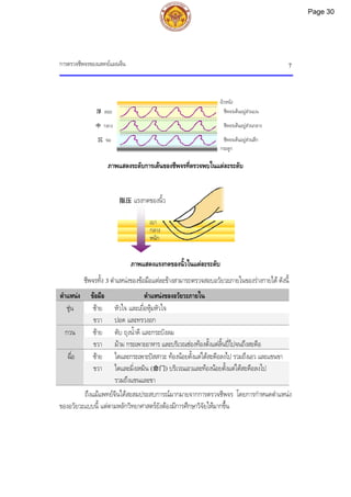 การตรวจชีพจรของแพทยแผนจีน 7
เบา
กลาง
หนัก
指压 แรงกดของนิ้ว
ภาพแสดงระดับการเตนของชีพจรที่ตรวจพบในแตละระดับ
ภาพแสดงแรงกดของนิ้วในแตละระดับ
ชีพจรทั้ง 3 ตําแหนงของขอมือแตละขางสามารถตรวจสอบอวัยวะภายในของรางกายได ดังนี้
ตําแหนง ขอมือ ตําแหนงของอวัยวะภายใน
ชุน ซาย หัวใจ และเยื่อหุมหัวใจ
ขวา ปอด และทรวงอก
กวน ซาย ตับ ถุงน้ําดี และกระบังลม
ขวา มาม กระเพาะอาหาร และบริเวณชองทองตั้งแตลิ้นปไปจนถึงสะดือ
ฉื่อ ซาย ไตและกระเพาะปสสาวะ ทองนอยตั้งแตใตสะดือลงไป รวมถึงเอว และแขนขา
ขวา ไตและมิ่งเหมิน (命门) บริเวณเอวและทองนอยตั้งแตใตสะดือลงไป
รวมถึงแขนและขา
ถึงแมแพทยจีนไดสะสมประสบการณมากมายจากการตรวจชีพจร โดยการกําหนดตําแหนง
ของอวัยวะแบบนี้ แตตามหลักวิทยาศาสตรยังตองมีการศึกษาวิจัยใหมากขึ้น
浮 ลอย
中 กลาง
沉 จม
ชีพจรเตนอยูสวนบน
ชีพจรเตนอยูสวนกลาง
ชีพจรเตนอยูสวนลึก
กระดูก
ผิวหนัง
Page 30
 