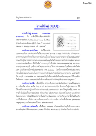 ขอมูลวิทยาศาสตรของตัวยา 283
ชวนเปยหมู (川贝母)
ชวนเปยหมู (Bulbus Fritillariae
Cirrhosae) คือ ลําตนใตดินแหงของพืชที่มีชื่อ
วิทยาศาสตรวา Fritillaria cirrhosa D. Don,
F. unibracteata Hsiao et K.C. Hsia, F. przewalskii
Maxim,F. delavayi Franch. วงศ Liliaceae1
การศึกษาทางเภสัชวิทยา: เมื่อใหสารสกัด
แอลคาลอยดรวม และสวนสกัดที่ไมใชแอลคาลอยด ขนาด 0.25-0.50 มิลลิกรัม/ตัว เขากระเพาะ-
อาหารหนูถีบจักรที่ชักนําใหเกิดอาการไอดวยน้ําแอมโมเนีย พบวาสามารถระงับไอและขับเสมหะ2
ชวนเปยหมูสามารถลดการอักเสบของหลอดลมในหนูที่เปนหืดโดยลดการสรางสารกอภูมิแพ และลด
การสะสมของเม็ดเลือดขาวอีโอซิโนฟล3
สารออกฤทธิ์ระงับไอคือ fritillaria-saponin Nos. I-VII และ
สารกลุมแอลคาลอยด ฤทธิ์ทางเภสัชวิทยาของสารอื่น ๆ ไดแก สาร fritimine มีฤทธิ์ลดความดันโลหิต
แมว และเพิ่มระดับน้ําตาลในเลือดกระตาย สาร sipeimine มีฤทธิ์ลดความดันโลหิตในสุนัข คลาย
กลามเนื้อลําไสเล็กสวนปลายที่แยกจากกายหนูขาว ลําไสเล็กสวนตนที่แยกจากกายกระตาย และลําไสเล็ก
ในกายสุนัข สาร verticine และ verticinine มีฤทธิ์เพิ่มความดันโลหิต แตในขนาดสูงจะทําใหความดัน-
โลหิตลดลง และสาร verticine มีฤทธิ์เพิ่มความตึงของกลามเนื้อมดลูกที่แยกจากกายหนูตะเภา2
การศึกษาทางคลินิก: เมื่อใหผูปวย 67 ราย รับประทานยาเม็ดที่เตรียมจากชวนเปยหมูขนาด
0.5 กรัม/เม็ด ครั้งละ 4 เม็ด วันละ 3 ครั้ง พบวาสามารถระงับไอ ขับเสมหะในผูปวยทุกราย ใช
ไดผลดีโดยเฉพาะกับผูปวยที่ดื้อตอการรักษาและขับเสมหะออกยาก ชวนเปยหมูมีฤทธิ์ขับเสมหะ ลด
การคั่ง ในผูปวยที่มีอาการออนเพลีย หนาแดงรอน ไอมีเสมหะมาก มีเลือดปนในเสมหะ แนนหนาอก
ไมอยากอาหาร จึงนิยมใชรวมกับตัวยาอื่นเพื่อรักษาวัณโรคปอด อยางไรก็ตาม ตัวยานี้ใชไมไดผลกับ
กรณีไอมีเสมหะมากที่เกิดจากความเย็นและความชื้น เชน ภาวะมีอากาศในเนื้อเยื่อปอด (pulmonary
emphysema) และโรคหลอดลมโปงพอง (bronchiectasis)2
การศึกษาความปลอดภัย: เมื่อฉีดสาร fritimine เขาหลอดเลือดดําหนูถีบจักรและกระตาย
ขนาดต่ําสุดที่ทําใหสัตวทดลองตาย (MLD) มีคาเทากับ 40 และ 12-15 มิลลิกรัม/กิโลกรัม ตามลําดับ2
2 เซนติเมตร
Page 306
 