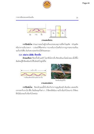การตรวจชีพจรของแพทยแผนจีน 21
ฝดเหมือนมีดขูดไมไผ
ชุน กวน ฉื่อ
ภาพแสดงตงมาย
การวินิจฉัยโรค: สวนมากจะพบในผูปวยที่เคยประสบเหตุการณที่ตกใจสุดขีด กลัวสุดขีด
หรือรางกายเจ็บปวดมาก ๆ สงผลใหชี่แตกซาน การบาดเจ็บภายในหรือรางกายถูกกระทบกระเทือน
จะเกี่ยวกับชี่ตีบ อินกับหยางปะทะกันกอใหเกิดผลตามมา
3.21 เซอมาย (涩脉): ชีพจรฝด
ลักษณะชีพจร: ชีพจรทั้งเล็กและชา ไปมาฝดไมราบรื่น ชีพจรเตนแรงไมสม่ําเสมอ เมื่อใชนิ้ว
สัมผัสจะรูสึกฝดเหมือนกับใชใบมีดเล็กไปขูดไมไผ
ภาพแสดงเซอมาย
การวินิจฉัยโรค: ชีพจรลักษณะนี้เกี่ยวของกับรางกายสูญเสียอสุจิ เลือดนอย เสมหะหรือ
อาหารตกคางภายใน ชี่ตีบ ลิ่มเลือดอุดกั้นตาง ๆ ถาชีพจรฝดมีแรง จะเกี่ยวของกับโรคแกรง ถาชีพจร
ฝดไมมีแรงจะเกี่ยวของกับโรคพรอง
การเตนของชีพจรชาเล็กและสั้น ไมราบรื่น
หายใจ 1 ครั้ง
ชุน กวน ฉื่อ
Page 44
 