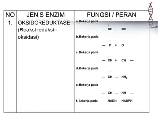 NO JENIS ENZIM FUNGSI / PERAN
1. OKSIDOREDUKTASE
(Reaksi reduksi–
oksidasi)
a. Bekerja pada
∣
— CH — OH
b. Bekerja pada
∣
— C = O
c. Bekerja pada
∣
— CH = CH —
d. Bekerja pada
∣
— CH — NH2
e. Bekerja pada
∣
— CH — NH —
f. Bekerja pada NADH, NADPH
 