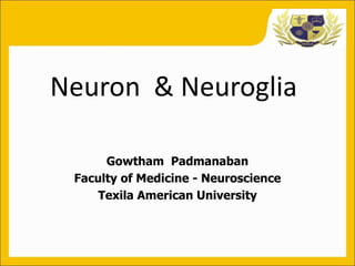 Neuron & Neuroglia
Gowtham Padmanaban
Faculty of Medicine - Neuroscience
Texila American University
 