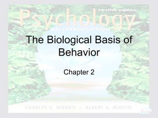 Psychology: An Introduction
Charles A. Morris & Albert A. Maisto
© 2005 Prentice Hall
The Biological Basis of
Behavior
Chapter 2
 