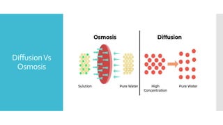 DiffusionVs
Osmosis
 