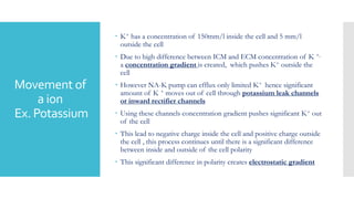 Movement of
a ion
Ex. Potassium
 K+ has a concentration of 150mm/l inside the cell and 5 mm/l
outside the cell
 Due to high difference between ICM and ECM concentration of K +,
a concentration gradient is created, which pushes K+ outside the
cell
 However NA-K pump can efflux only limited K+ hence significant
amount of K + moves out of cell through potassium leak channels
or inward rectifier channels
 Using these channels concentration gradient pushes significant K+ out
of the cell
 This lead to negative charge inside the cell and positive charge outside
the cell , this process continues until there is a significant difference
between inside and outside of the cell polarity
 This significant difference in polarity creates electrostatic gradient
 