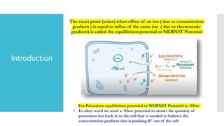 Introduction
The exact point (value) when efflux of an ion ( due to concentration
gradient ) is equal to influx of the same ion ( due to electrostatic
gradient) is called the equilibrium potential or NERNST Potential
For Potassium equilibrium potential or NERNST Potential is -92mv
• In other word we need a -92mv potential to attract the quantity of
potassium ion back in to the cell that is needed to balance the
concentration gradient that is pushing K+ out of the cell
 
