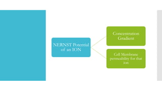 NERNST Potential
of an ION
Concentration
Gradient
Cell Membrane
permeability for that
ion
 
