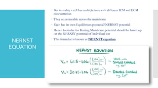 NERNST
EQUATION
 But in reality a cell has multiple ions with different ICM and ECM
concentration
 They ae permeable across the membrane
 Each has its own Equilibrium potential/NERNST potential
 Hence formulae for Resting Membrane potential should be based up
on the NERNST potential of individual ion
 This formulae is known as NERNST equation
 