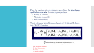  When the membrane is permeable to several ions the Membrane
equilibrium potential that develops depends on
 Polarity of each ion
 Membrane permeability
 Ionic concentration
 This is calculated using Goldman Equation/ Goldman-Hodgkin-
Katz ( GHK) Equation
Vm- Membrane potential
R- Ideal Gas constant
T- Temp
F- Ferrady constant
 