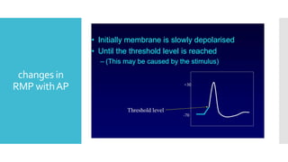 changes in
RMP withAP
 