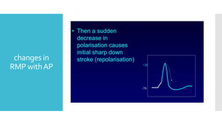changes in
RMP withAP
 