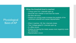 Physiological
Basis ofAP
 