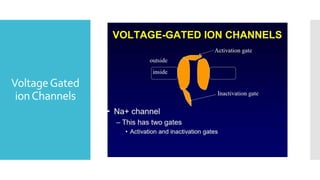 VoltageGated
ionChannels
 