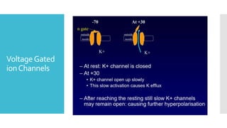 VoltageGated
ionChannels
 