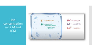 Ion
concentration
in ECM and
ICM
 
