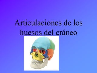 Articulaciones de los
huesos del cráneo
 