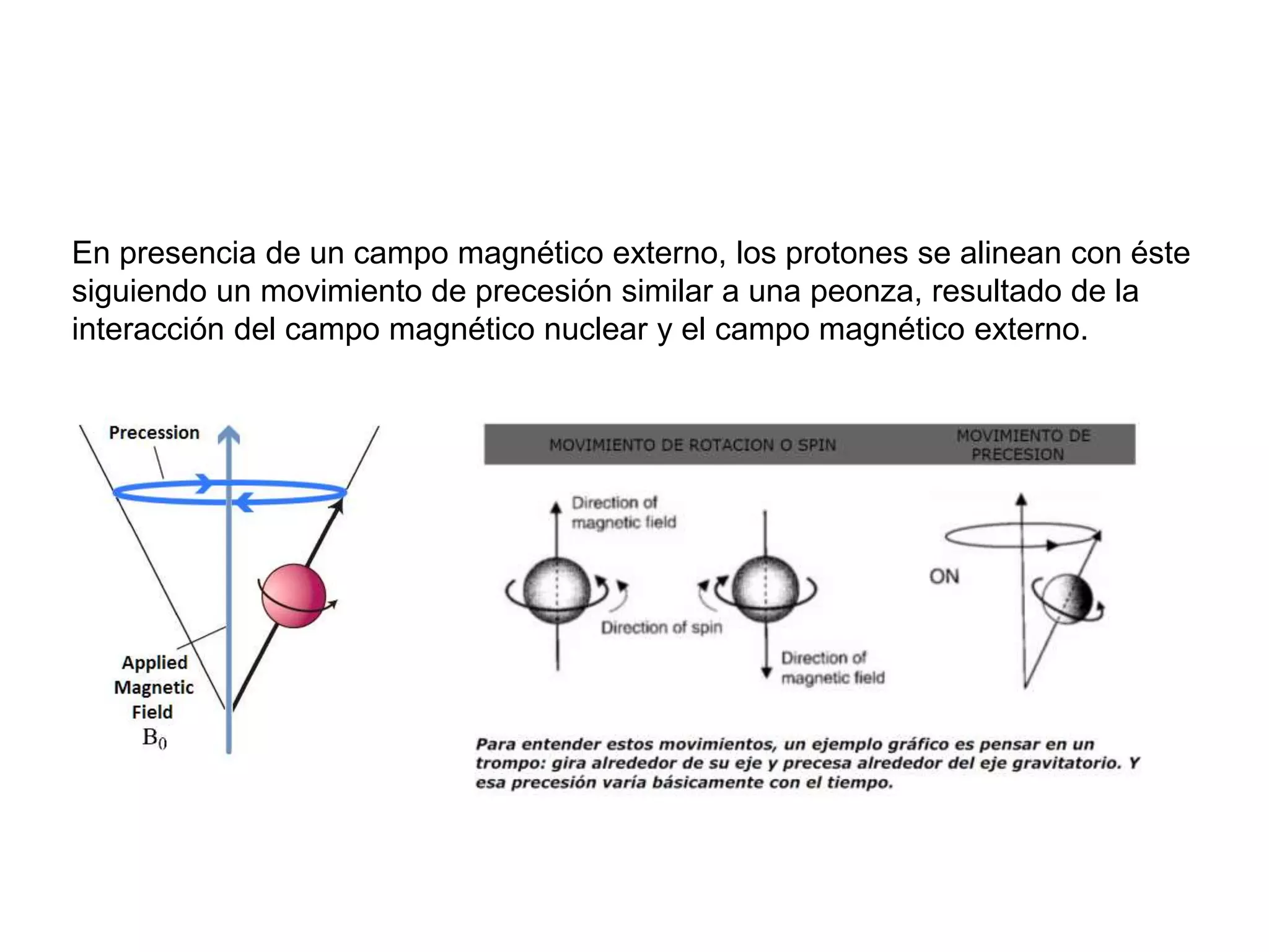 En presencia de un campo magnético externo, los protones se alinean con éste
siguiendo un movimiento de precesión similar a una peonza, resultado de la
interacción del campo magnético nuclear y el campo magnético externo.
 