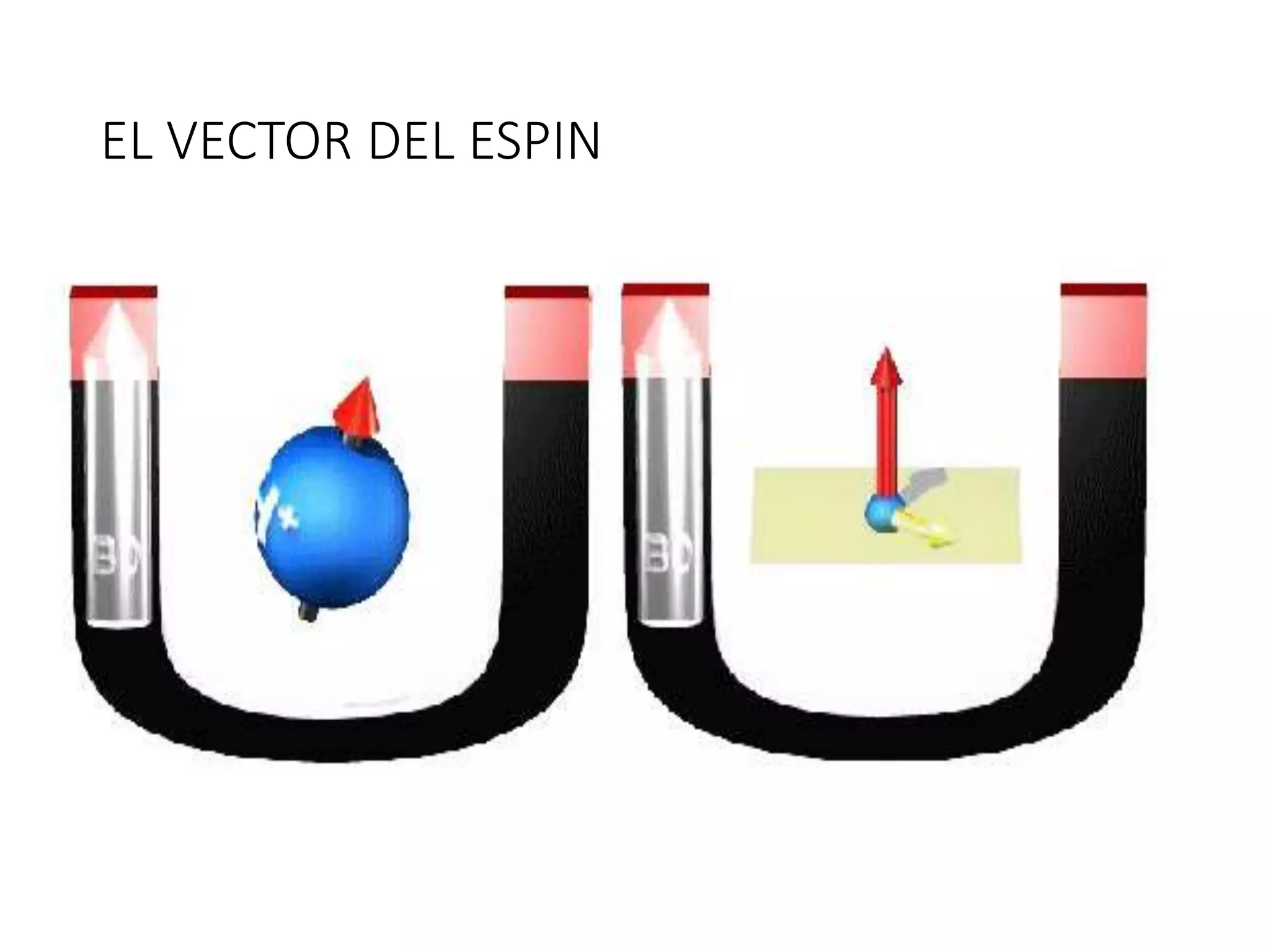 EL VECTOR DEL ESPIN
 