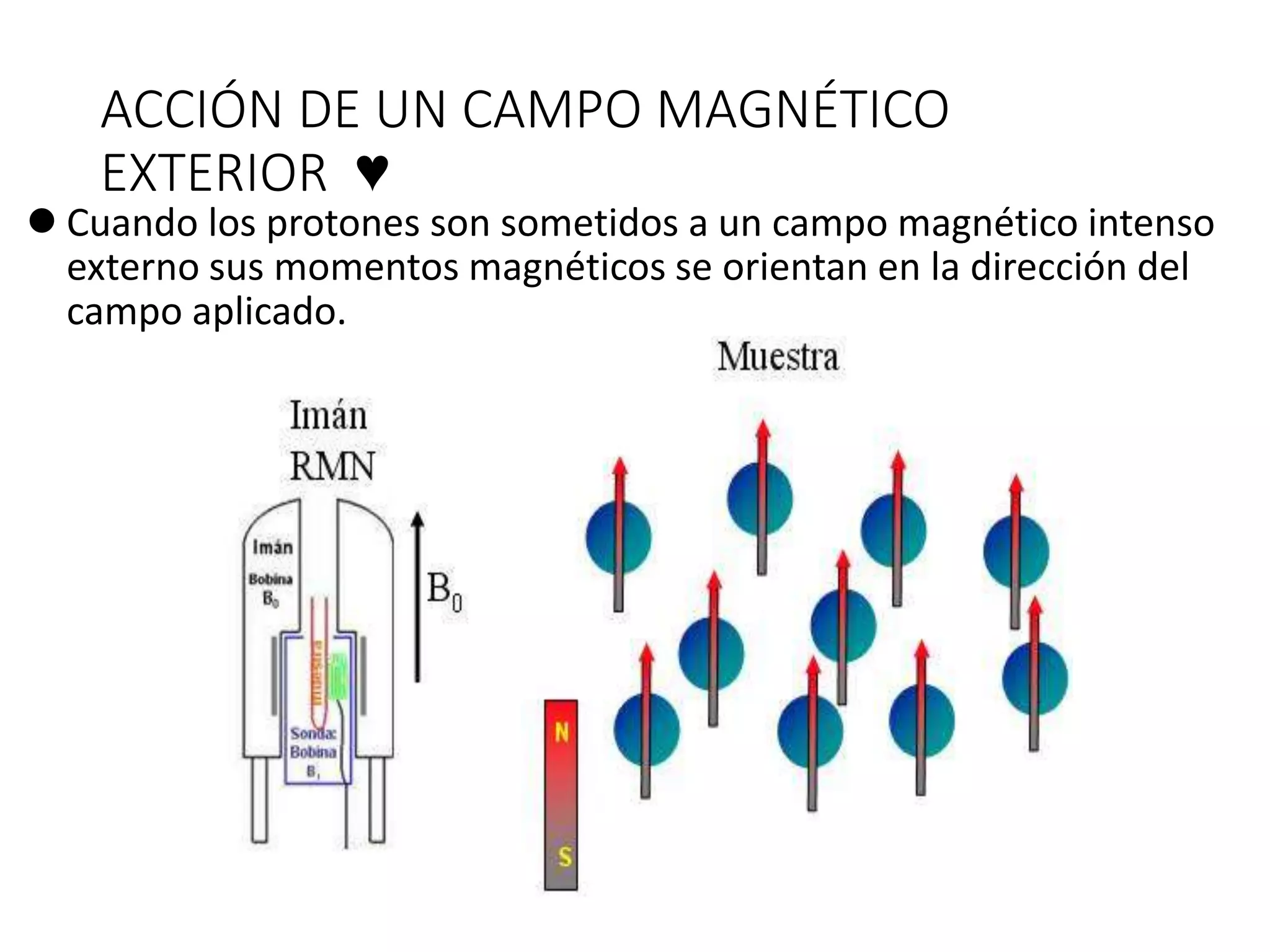 ACCIÓN DE UN CAMPO MAGNÉTICO
EXTERIOR ♥
 Cuando los protones son sometidos a un campo magnético intenso
externo sus momentos magnéticos se orientan en la dirección del
campo aplicado.
 
