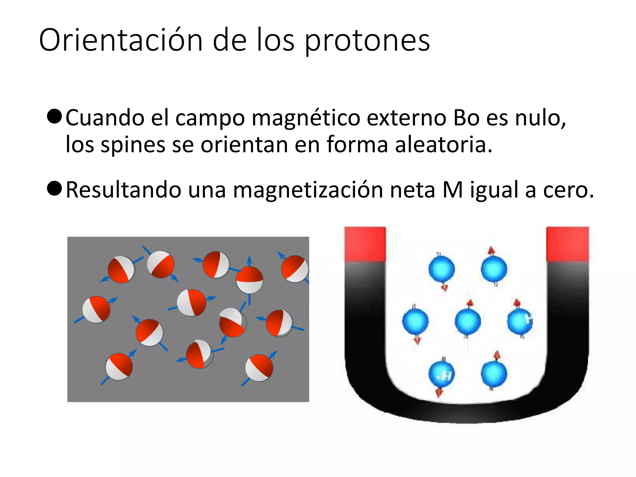 Orientación de los protones
Cuando el campo magnético externo Bo es nulo,
los spines se orientan en forma aleatoria.
Resultando una magnetización neta M igual a cero.
M=0
 