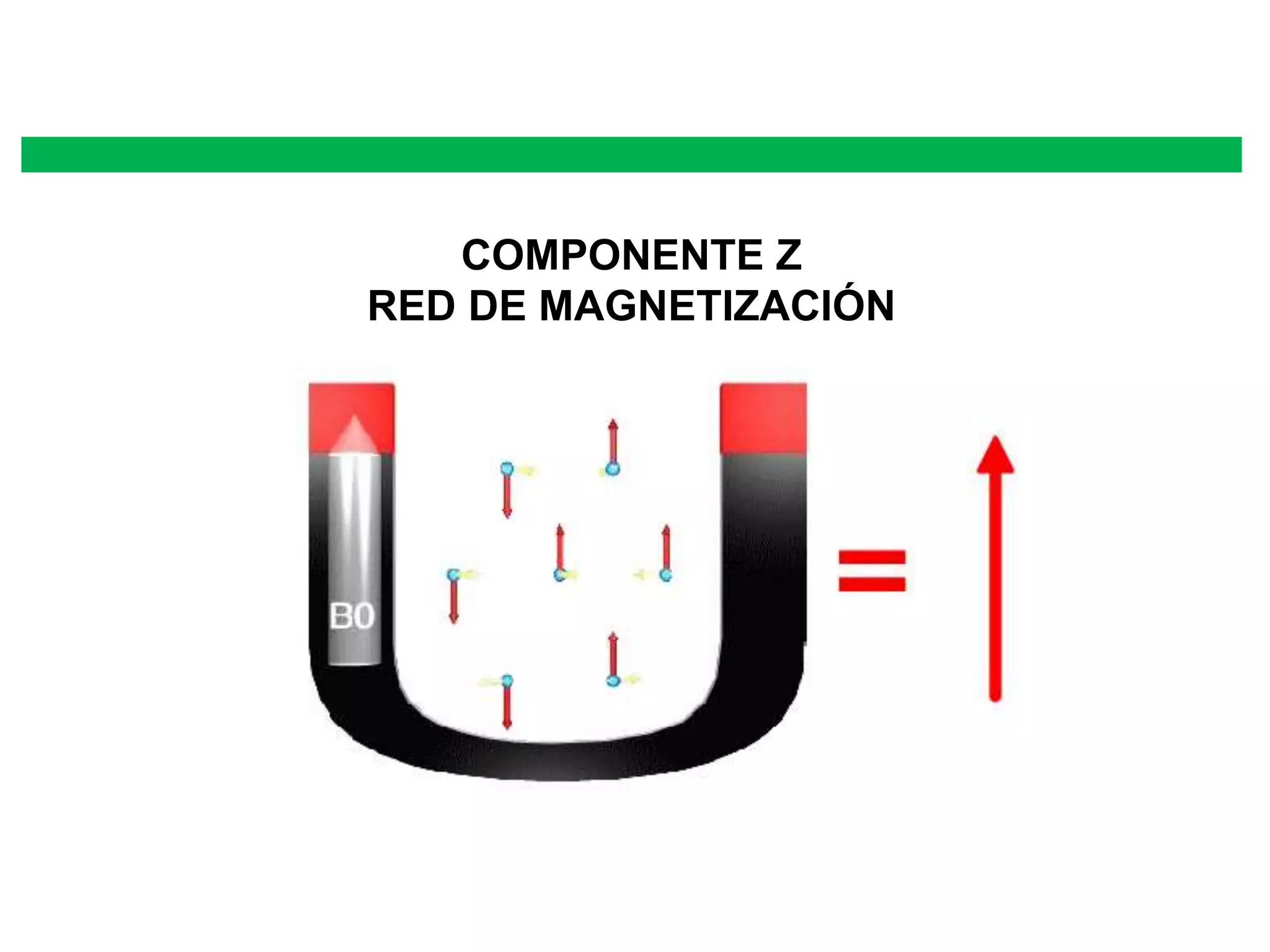 COMPONENTE Z
RED DE MAGNETIZACIÓN
 